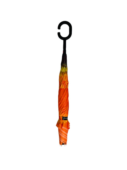 Everyday Inside Out Orange Daisy Stick