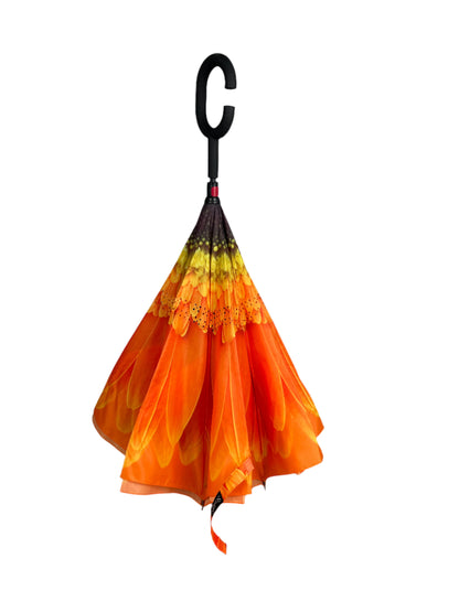 Everyday Inside Out Orange Daisy Stick