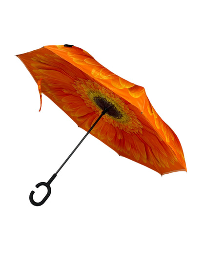 Everyday Inside Out Orange Daisy Stick