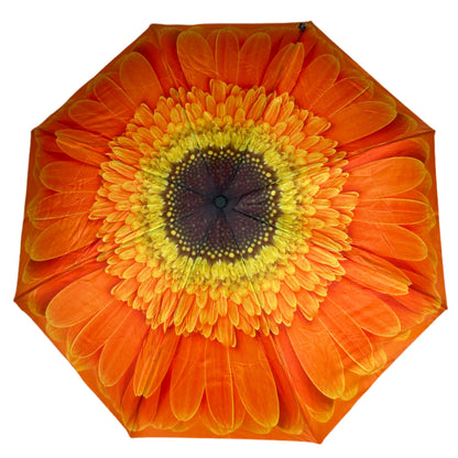 Everyday Inside Out Orange Daisy Stick