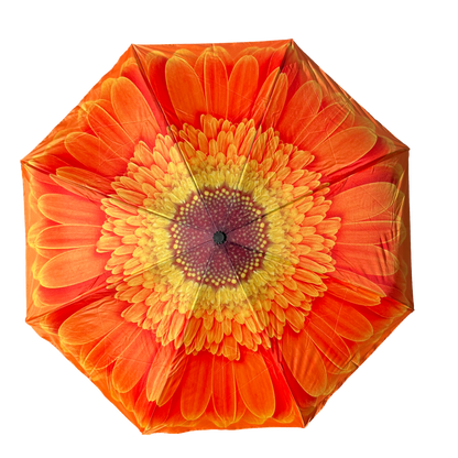 Everyday Inside Out Orange Daisy Stick