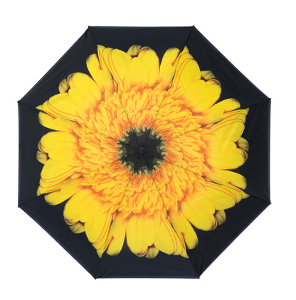 Everyday Inside Out Sunflower Stick