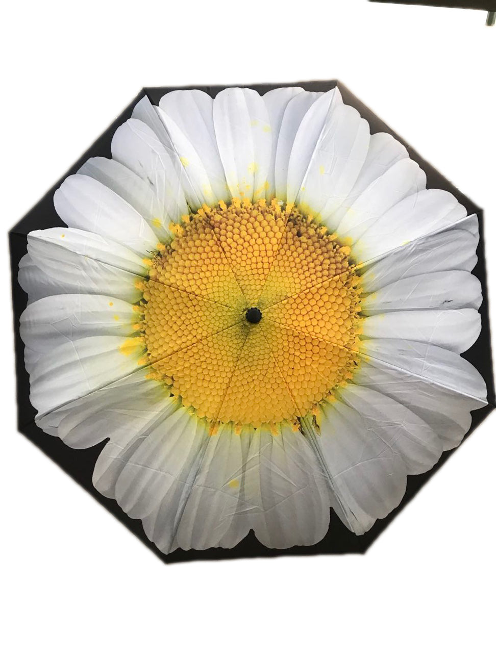 Everyday Inside Out Umbrella White Daisy Stick