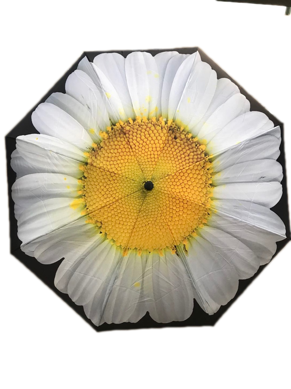 Everyday Inside Out Umbrella White Daisy Stick