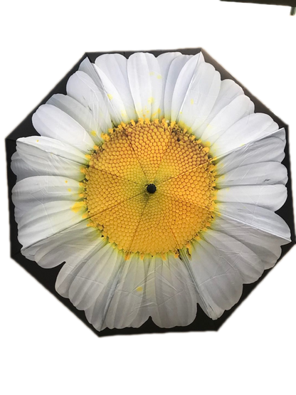 Everyday Inside Out Umbrella White Daisy Stick
