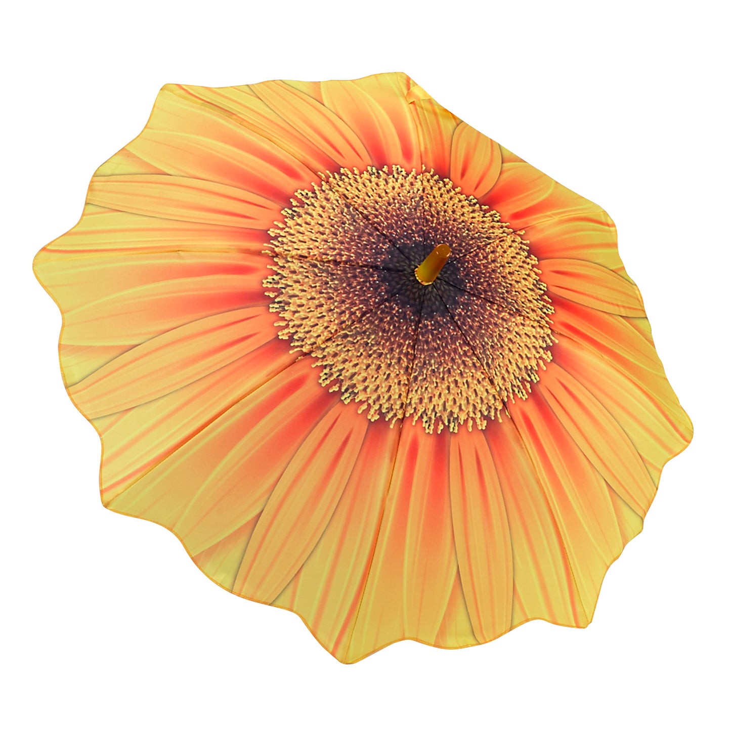 Galleria Kids Sun flower  13008