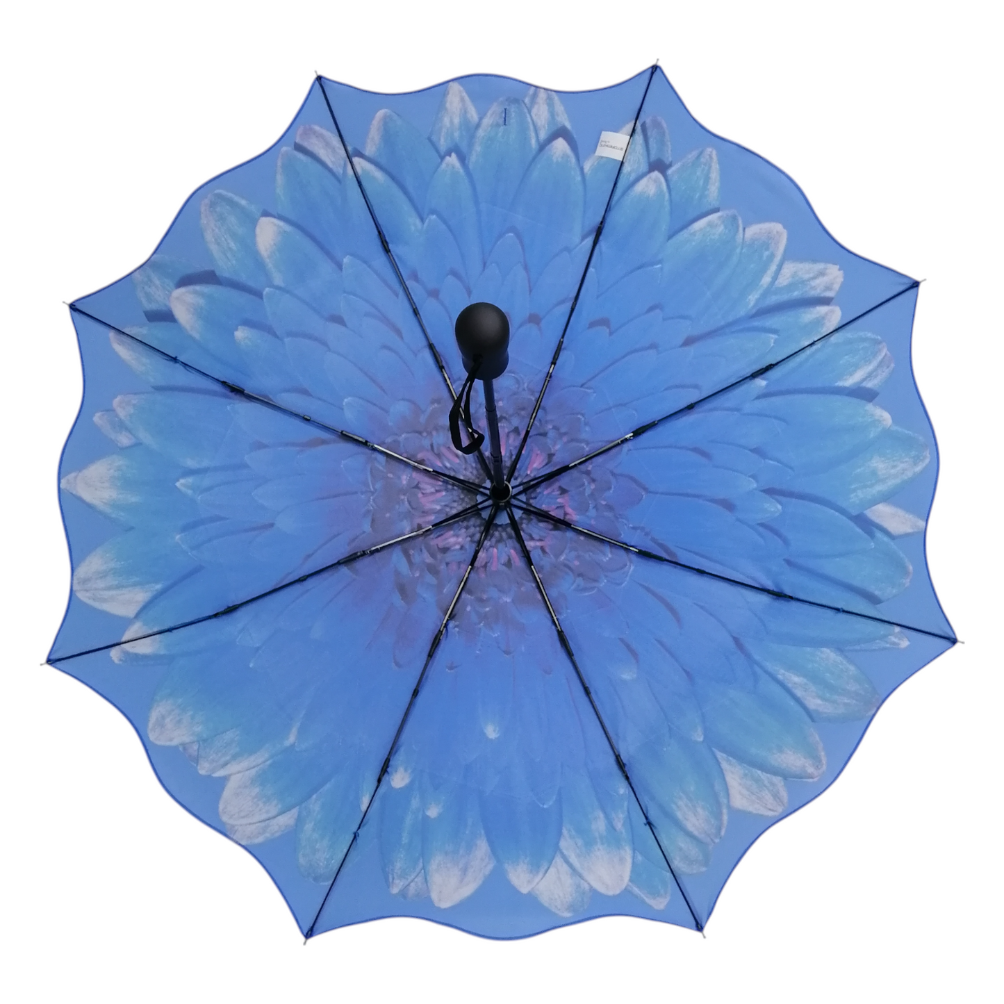 StormKing Folding Floral Umbrella Blue Daisy