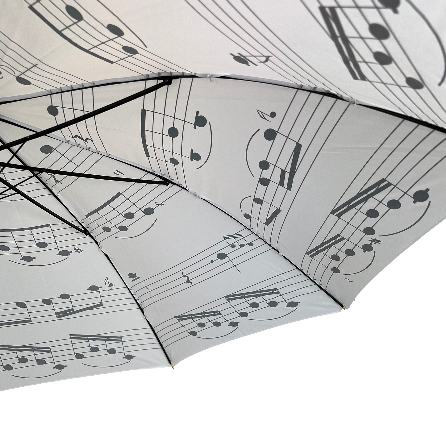 Black Music Umbrella with White Notes
