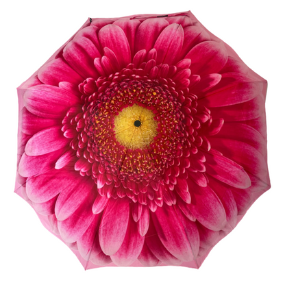 StormKing Folding Floral Umbrella Gerbera Daisy