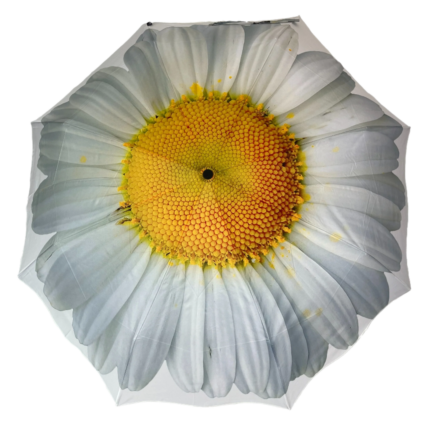 StormKing Folding Floral Umbrella White Daisy